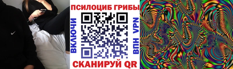 Псилоцибиновые грибы GOLDEN TEACHER  Купить  Анива 